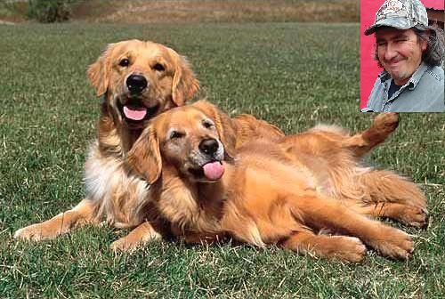 "La culpa no es del perro"