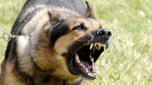 tmb1_589022_20140503185103