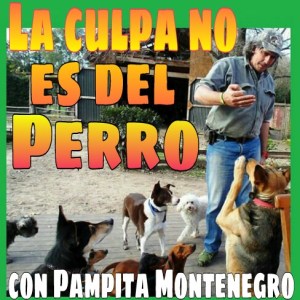 PODCAST LA CULPA
