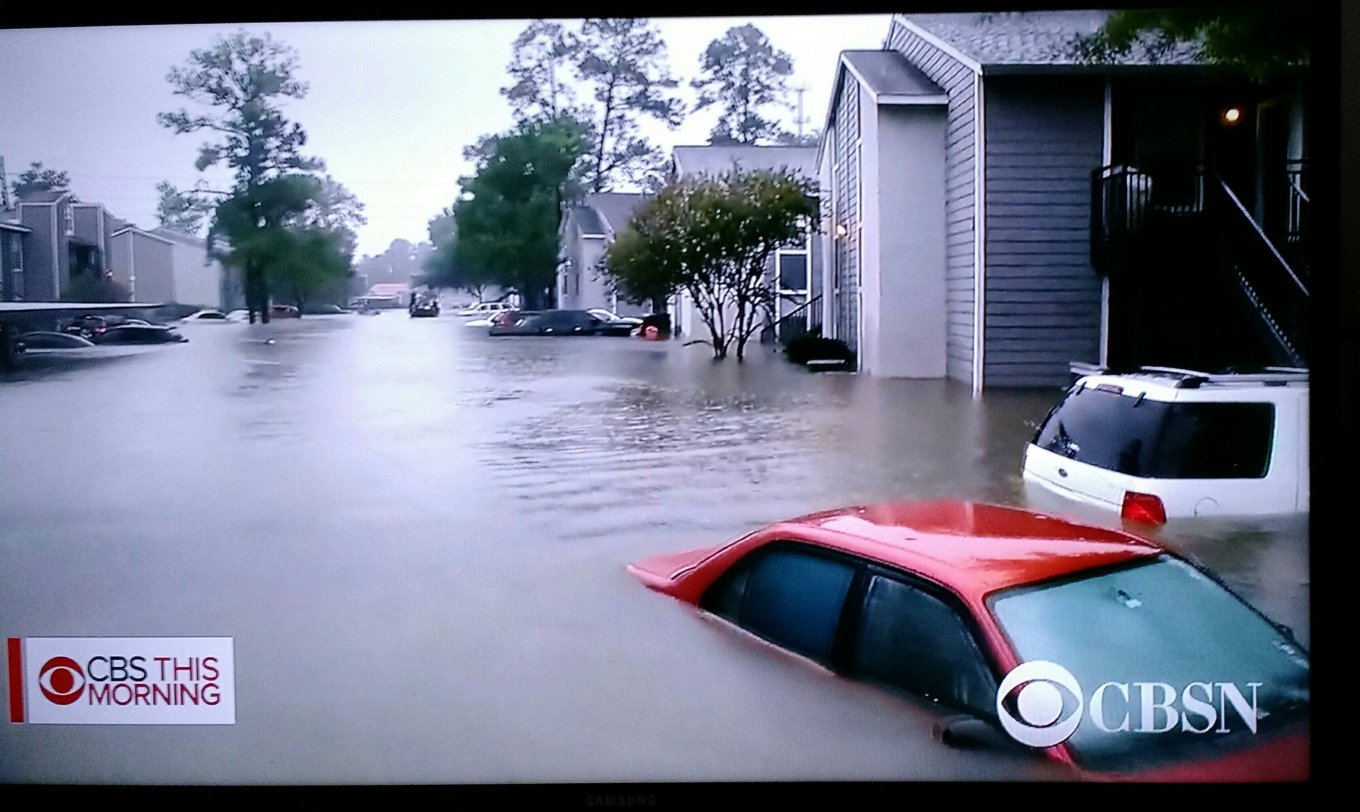 wp-image--1434925543