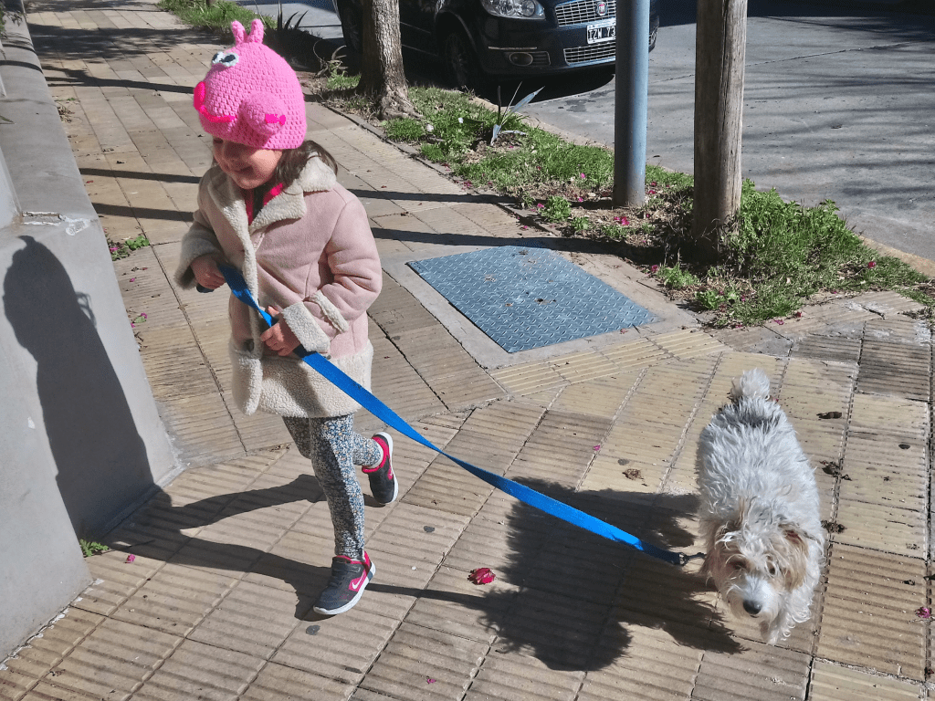 Nena paseando su perrito